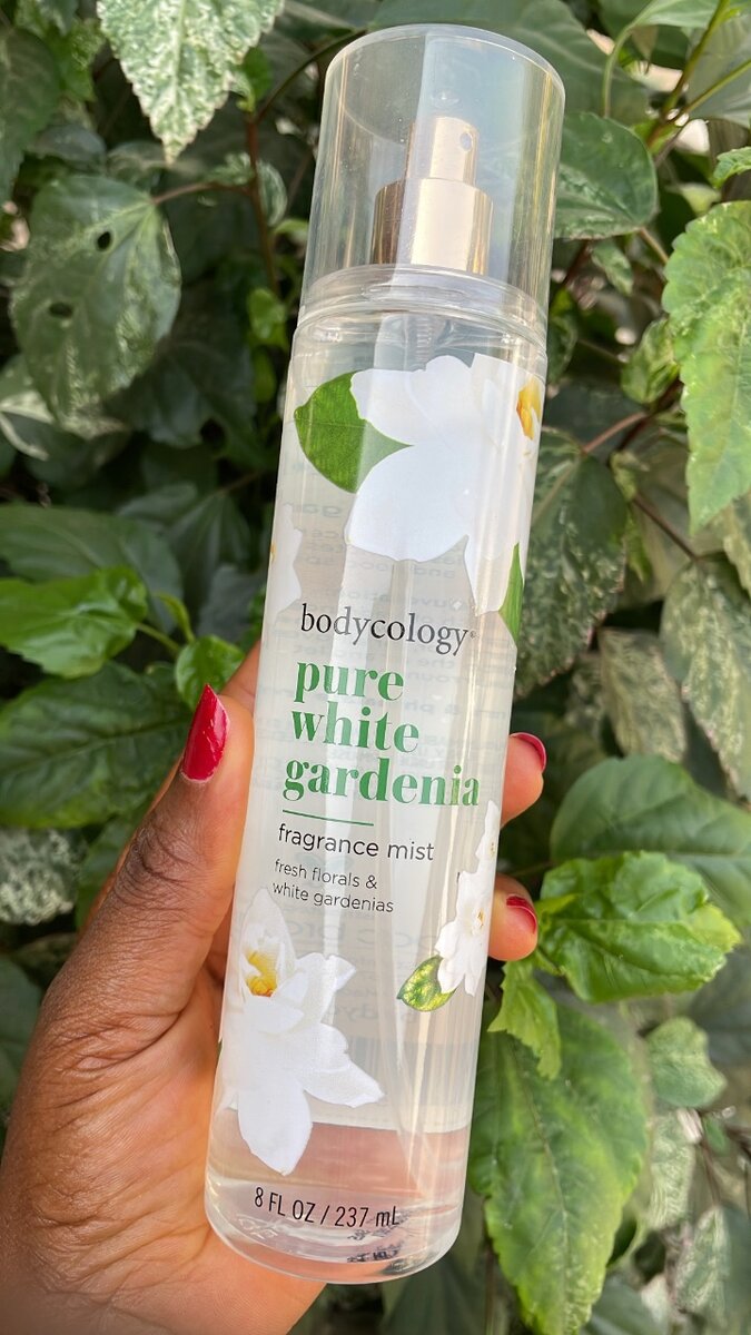 Bodysplash by bodycology