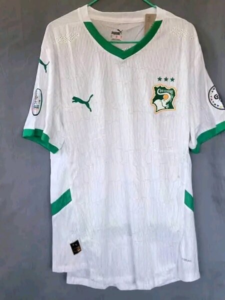 Maillot de Football Blanc Vert