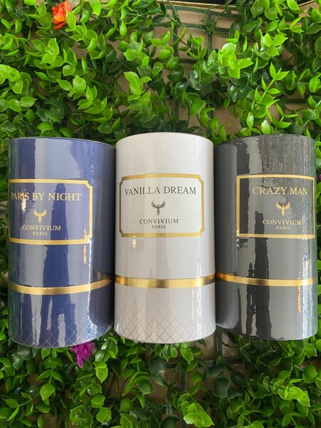 Collection privé aigle