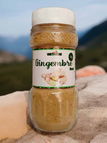 Gingembre Moulu Bio