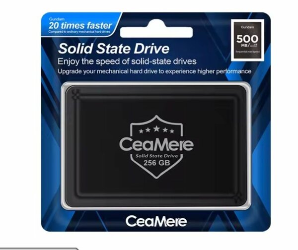 CeaMere SSD 256 Go Rapide