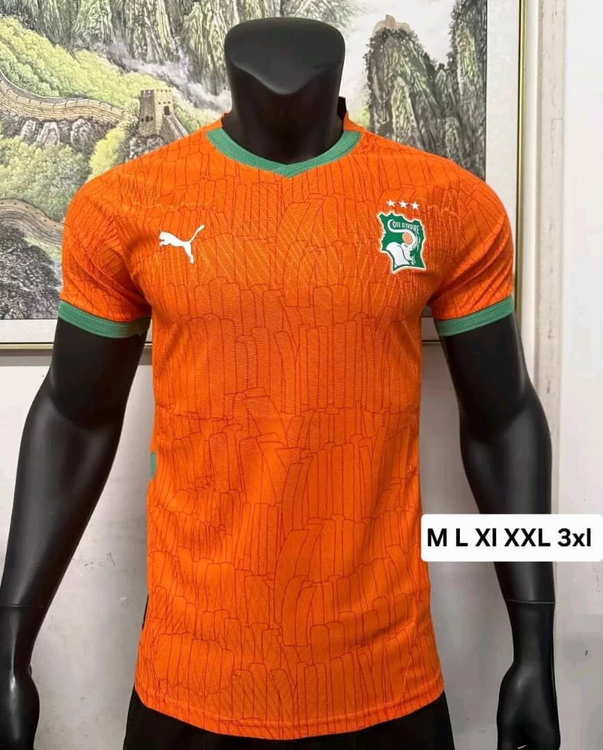 Maillot football version pro