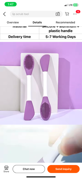 Lip brush (applicator brush)