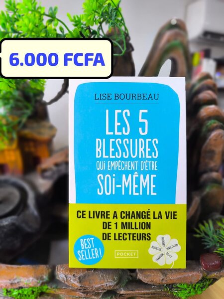 Les 5 blessures - Lise Bourbeau