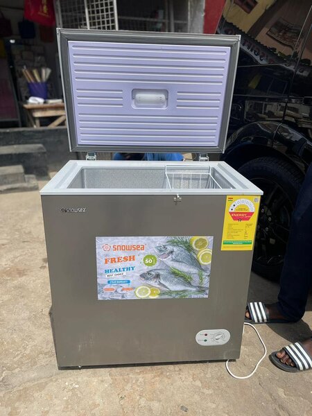 Snowsea Refrigerator/Freezer Type: Chest Freezer