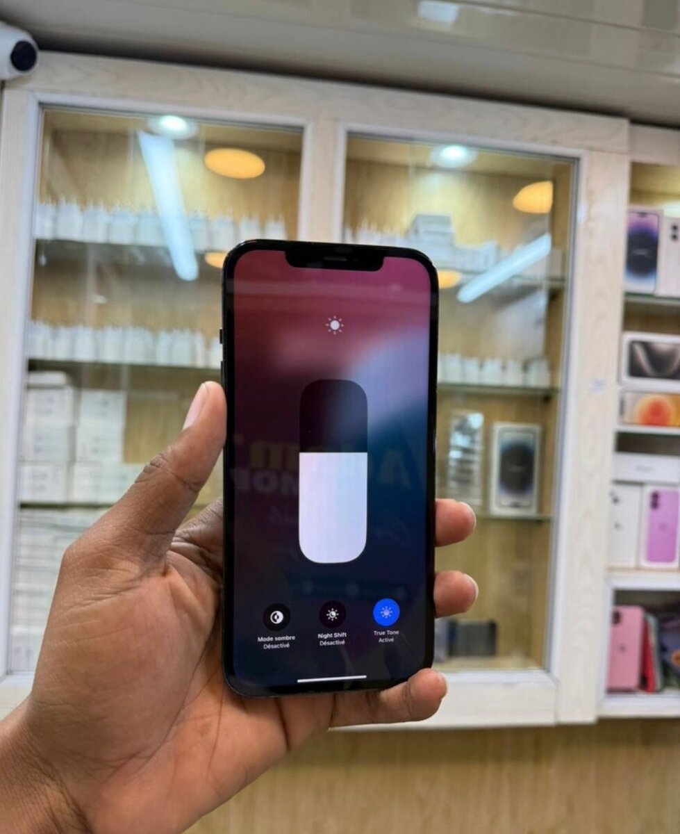 iPhone 12 Pro Max 256GB