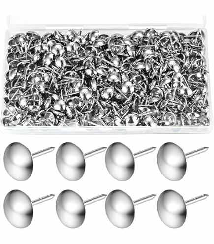 500 Punaises Argentées Fortes