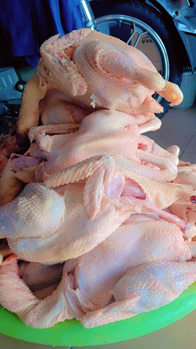 Poulet COQUELETS