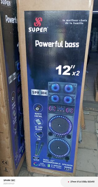 Enceinte Bluetooth 12" puissante