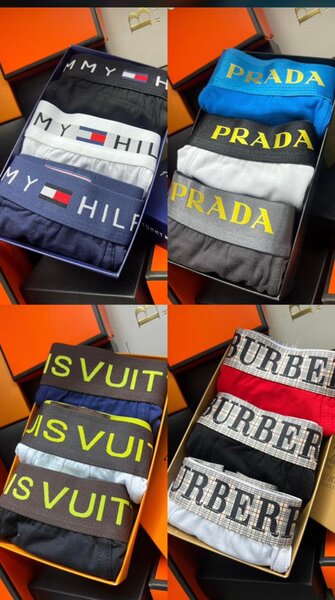 Caleçons de marque luxueux
