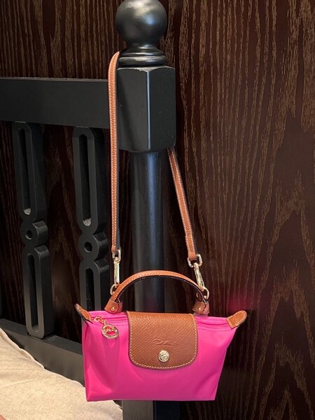 Mini longchamp rose