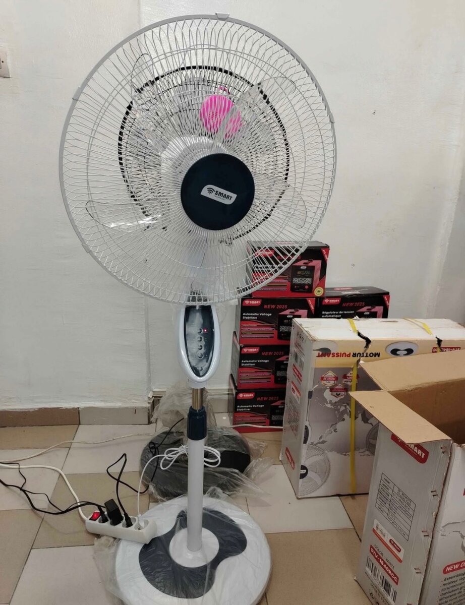 Ventilateur oscillant sur pied