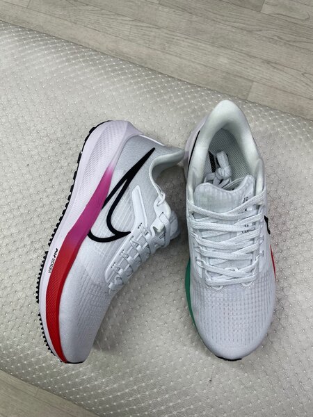 Nike pegasus39