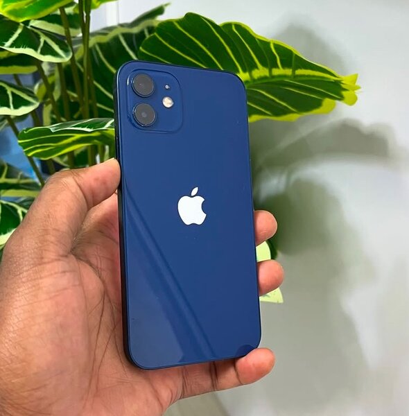 Clean Apple iPhone 12