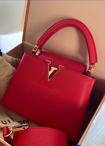 Louis Vuitton mini bag