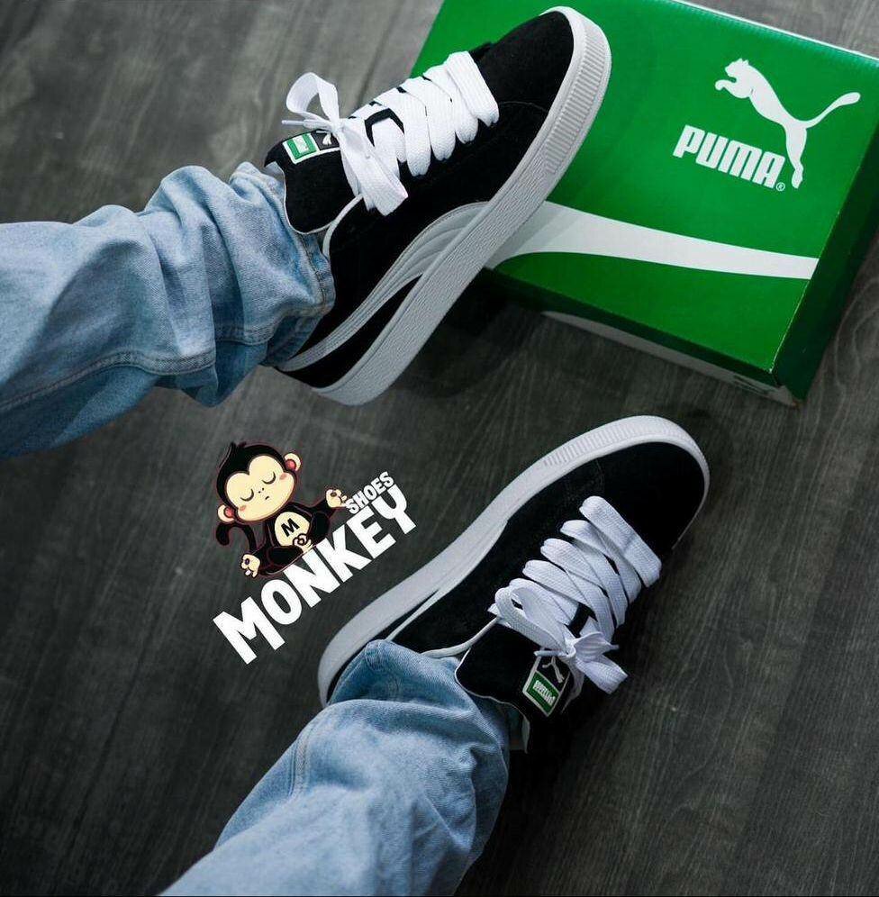 Sneakers Adidas Campus Noir Rose