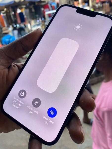 iPhone 13 Pro Max (256gig factory unlocked)