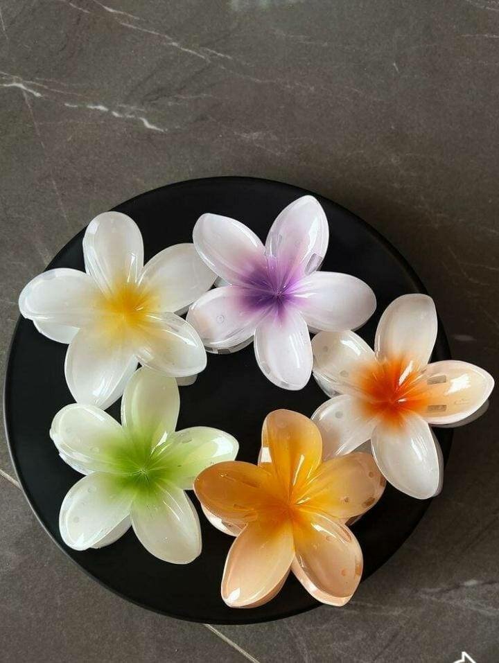 Pinces à cheveux fleurs colorées