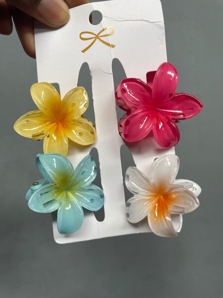 Pinces à Cheveux Fleurs Colorées