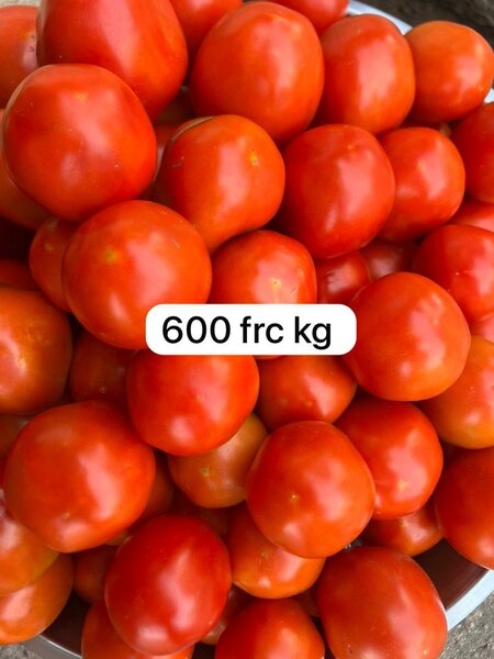 Légumes frais variés