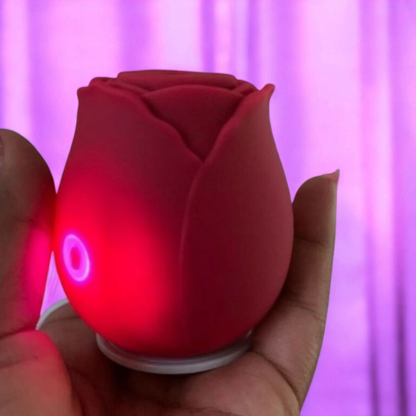 Sextoys Clito et Sein SN18