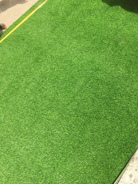 Grass carpet
