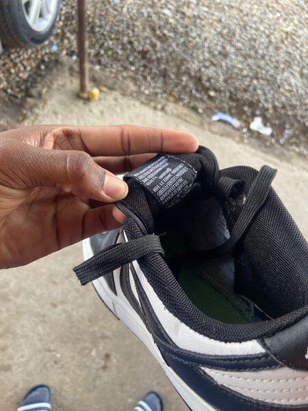 Nike dunks(black and white in colour