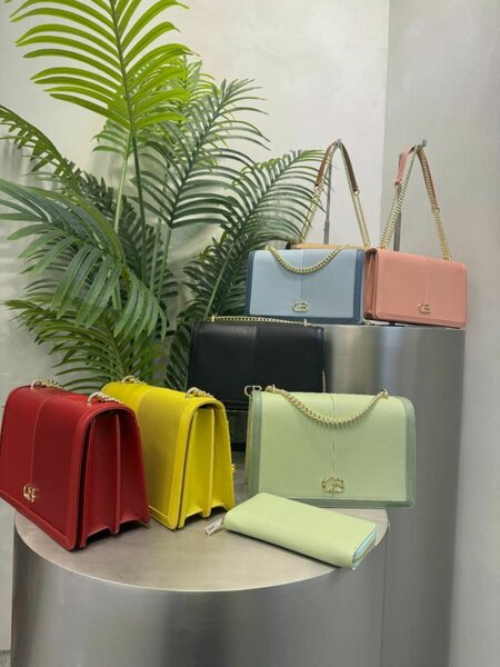 Sacs à main élégants en cuir