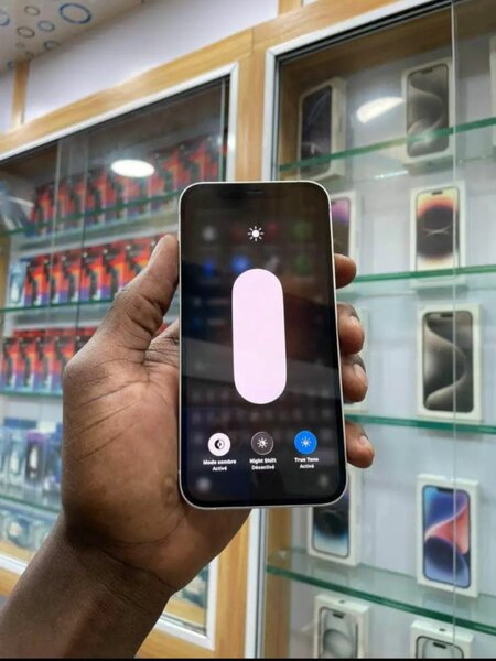 Apple iPhone 11 Blanc