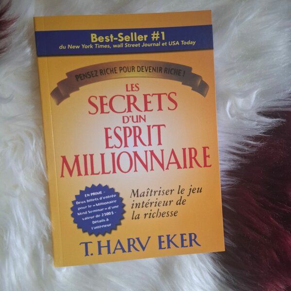 Les Secrets d'un Esprit Millionnaire