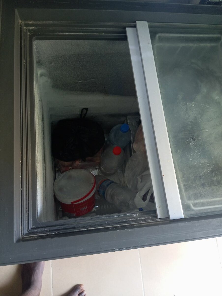 Congélateur Coffre Spacieux