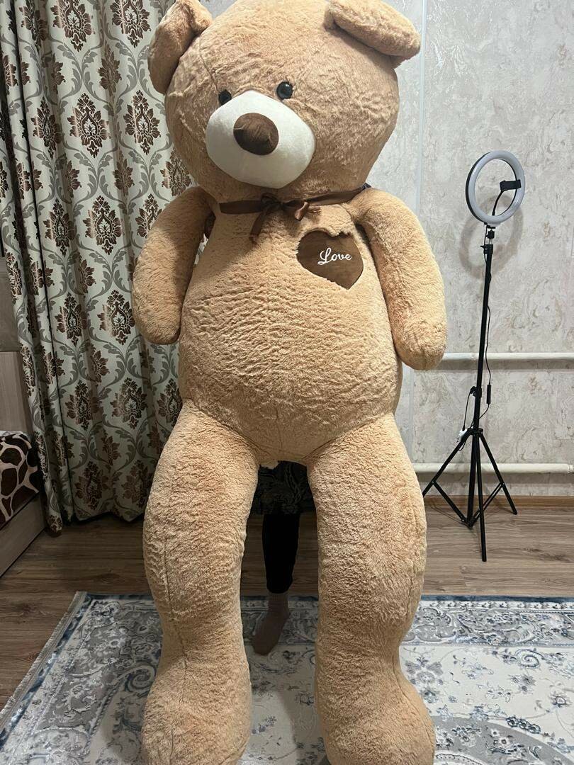 Мишка, высота 1,6