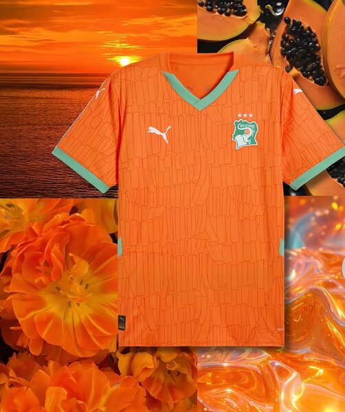 Maillot Côte d'Ivoire Puma