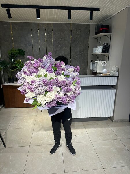 Апрельская Сирень