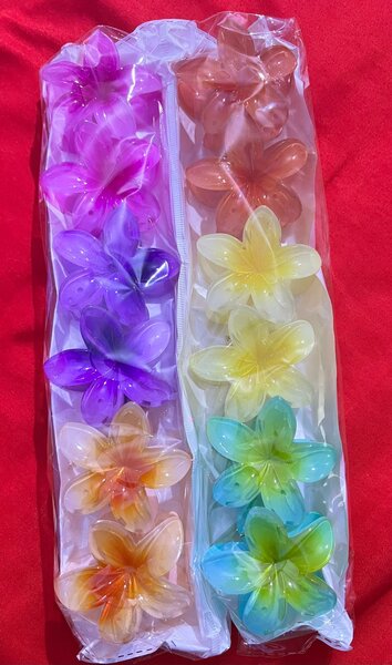 Fleurs décoratives colorées