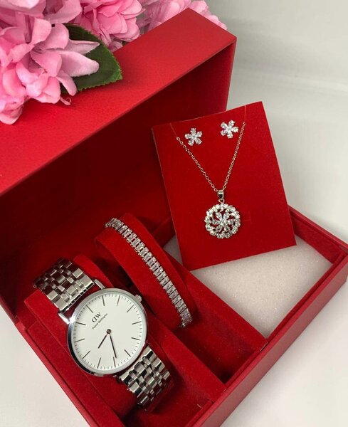 Anti-fade Authentic Daniel Willington watch