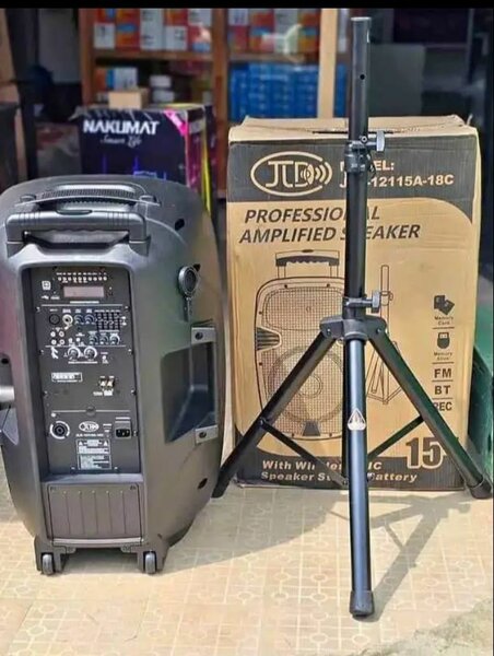 Enceinte Amplifiée Pro Bluetooth