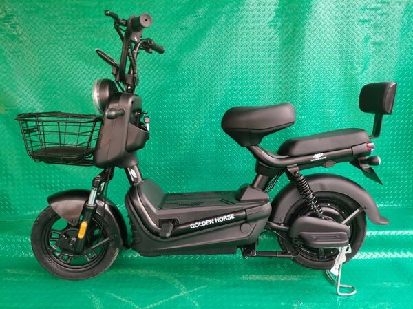 Electric bike