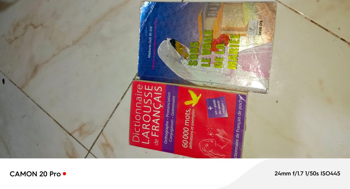 Dictionnaire et Livres Français