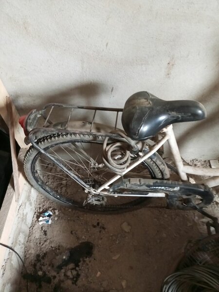 Vélo tout-terrain robuste