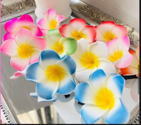 Pinces à cheveux fleurs colorées