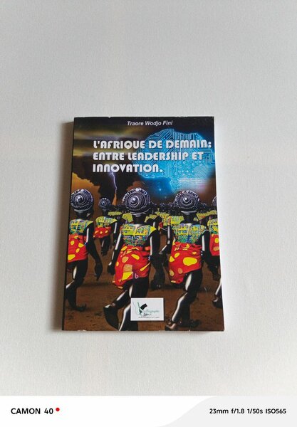 Livre: Leadership et Innovation en Afrique