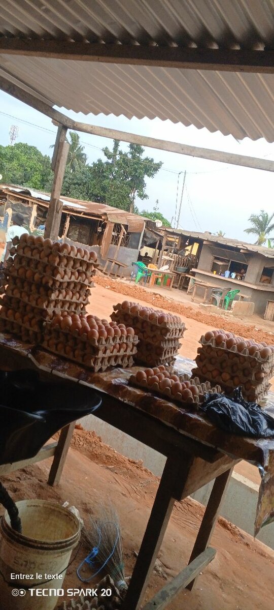 Œufs Frais Bio - Lot de 30