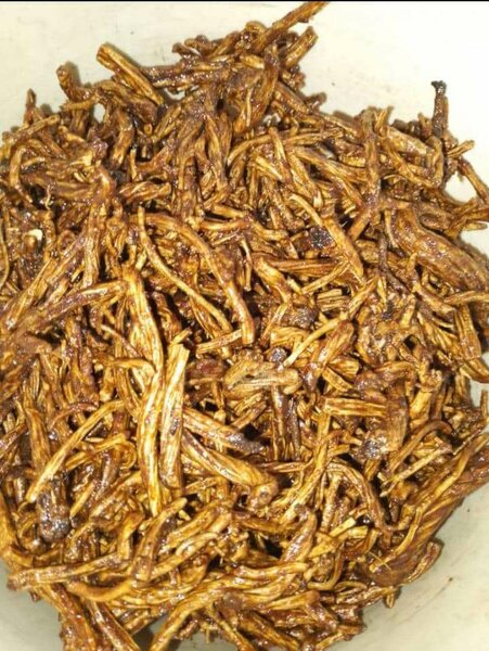 Tafartchek Encens du Tchad