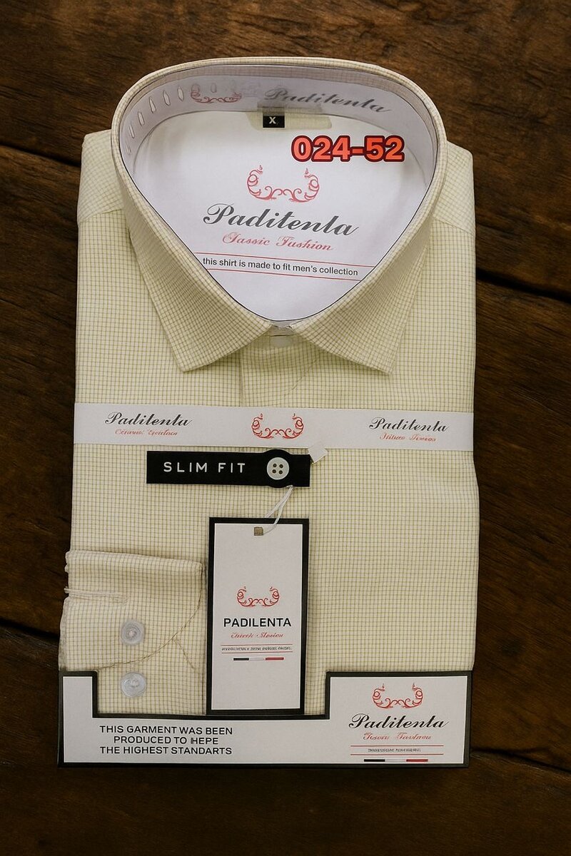 Chemise Slim Fit Homme