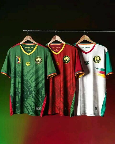 Maillot Cameroun homme multicolore