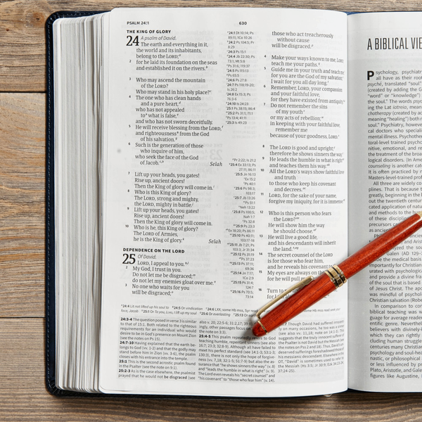 CSB WORLD-VIEW STUDY BIBLE