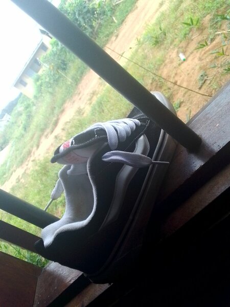 Paire de Baskets Vans