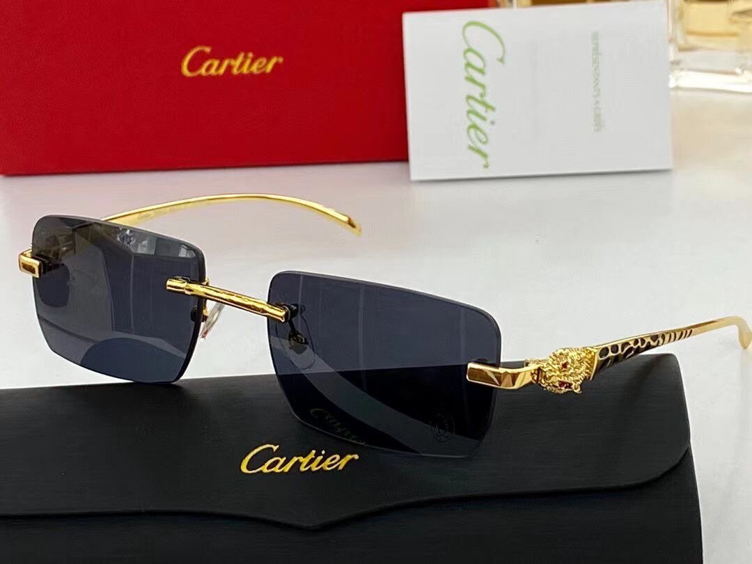 Lunettes de soleil Cartier élégantes
