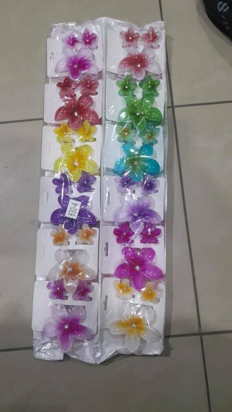 Douzaine Pince fleurs colorées